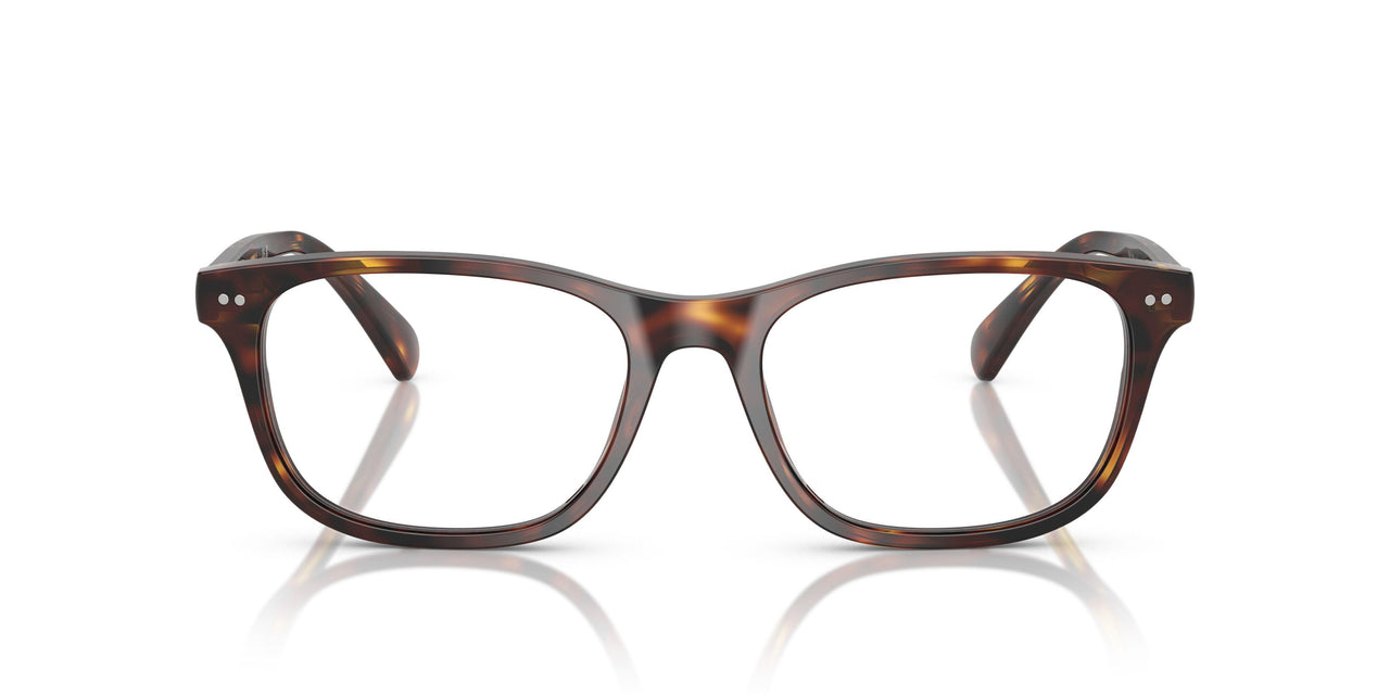 6137 - Tortoise