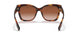 331613 - Havana - Brown Gradient