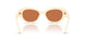 316773 - White - Brown