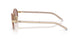 24E20I - Brown - Light Purple Brown