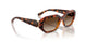 W65613 - Brown - Brown Gradient