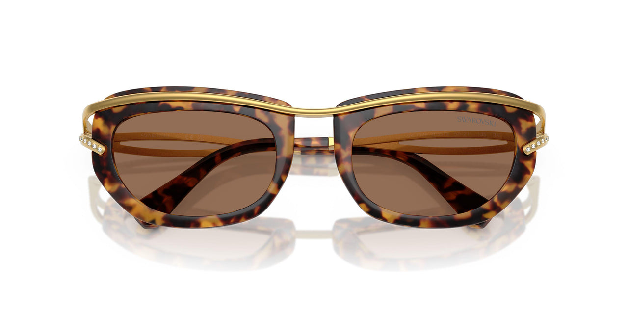 403573 - Tortoise - Dark Brown