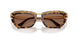 403573 - Tortoise - Dark Brown