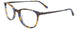 10 - Brown & Blue Tortoise / Matt Dark Steel