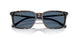 500380 - Tortoise - Dark Blue