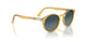204/S3 - Yellow - Blue Gradient Dark Blue Polar