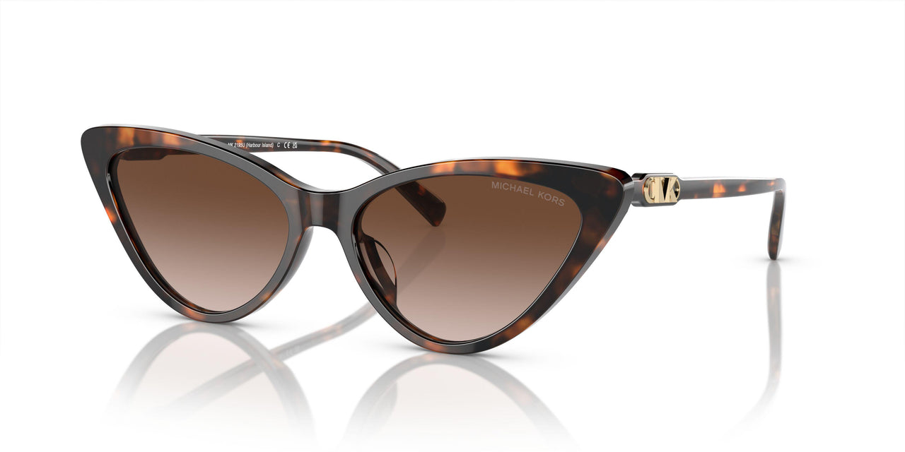 300613 - Tortoise - Brown Gradient
