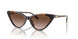 300613 - Tortoise - Brown Gradient