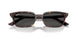 135987 - Tortoise - Dark Grey