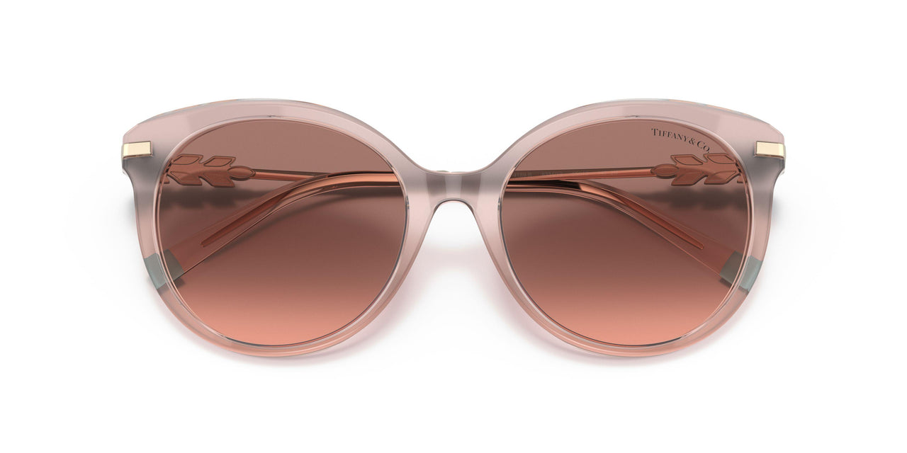 833413 - Pink - Pink Gradient Dark Brown