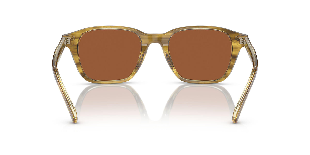 616473 - Green - Brown Solid