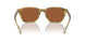 616473 - Green - Brown Solid