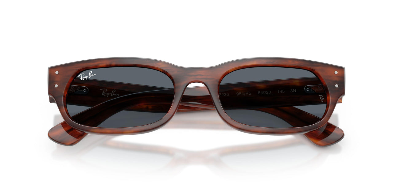 954/R5 - Brown - Blue