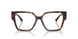 5002 - Tortoise