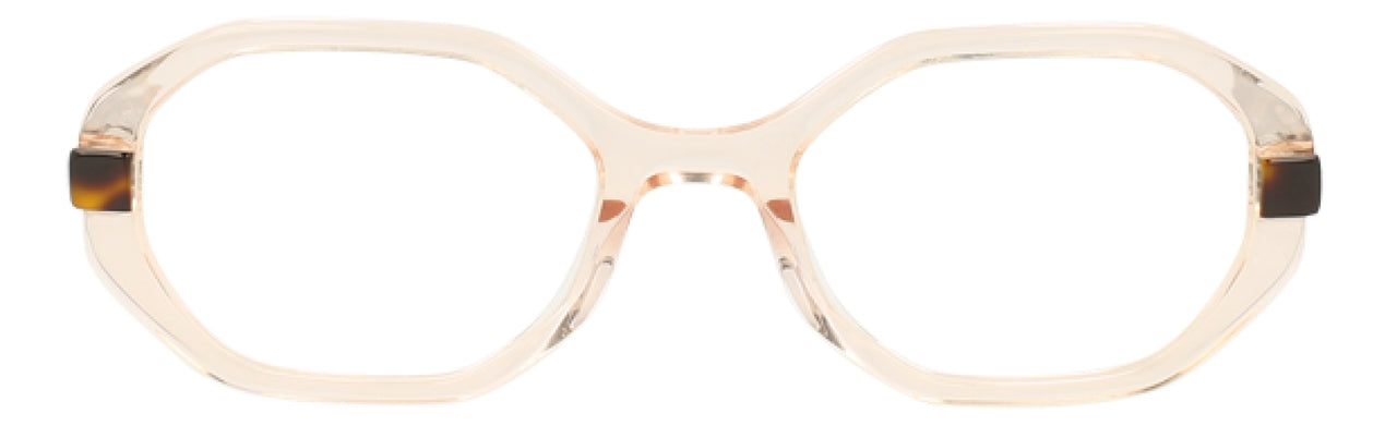 007 - Champagne Tortoise