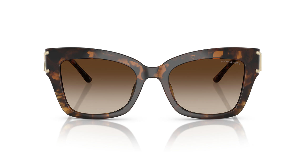 300613 - Tortoise - Brown Gradient
