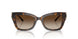 300613 - Tortoise - Brown Gradient