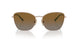 5186T5 - Brown - Polarized Gradient Brown