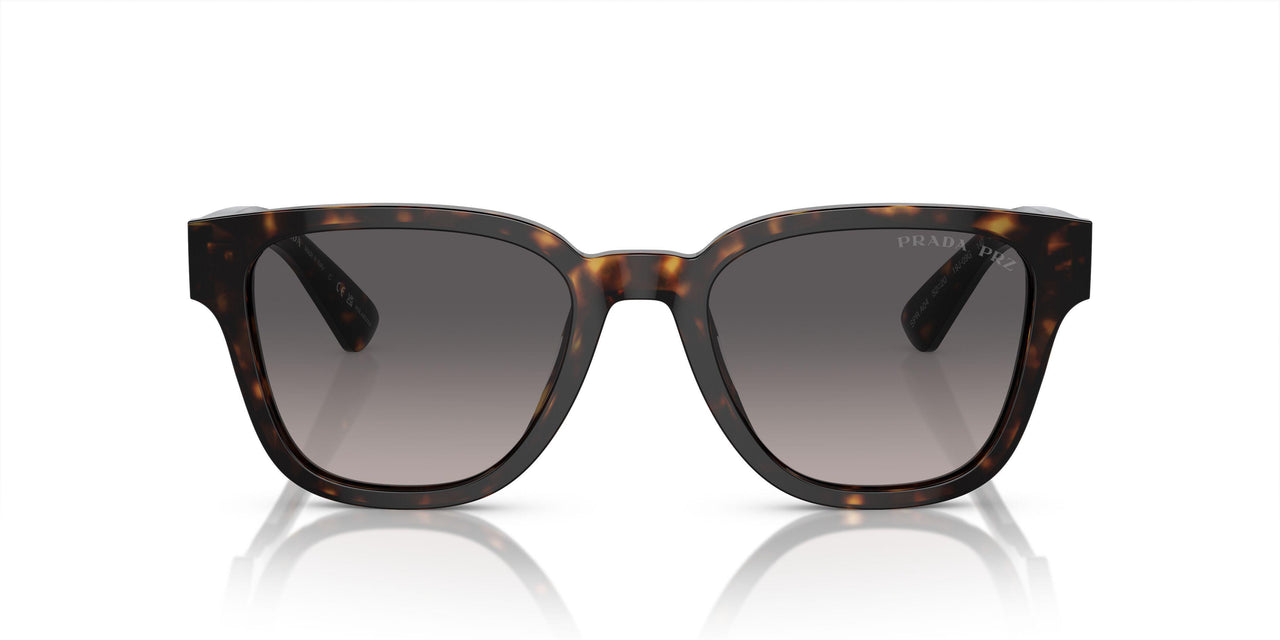 19J09G - Tortoise - Polarized Grey Gradient