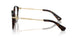 3002 - Brown