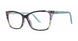 PLASTICS II NOTICE Eyeglasses