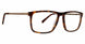 Mr Turk MTVITTONE Eyeglasses