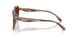 590174 - Brown - Brown Gradient
