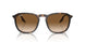 902/51 - Tortoise - Clear/brown