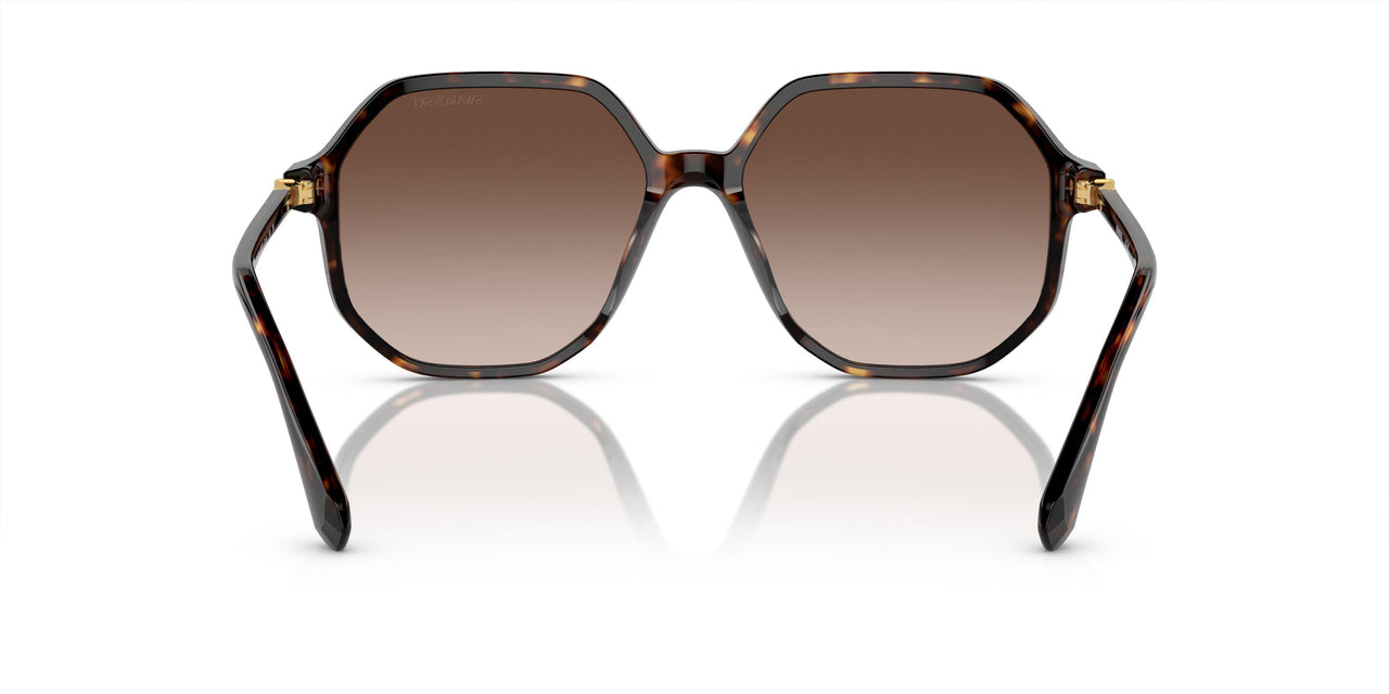 100213 - Tortoise - Brown Gradient