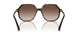 100213 - Tortoise - Brown Gradient