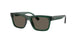 Ray-Ban Junior 9196S Sunglasses