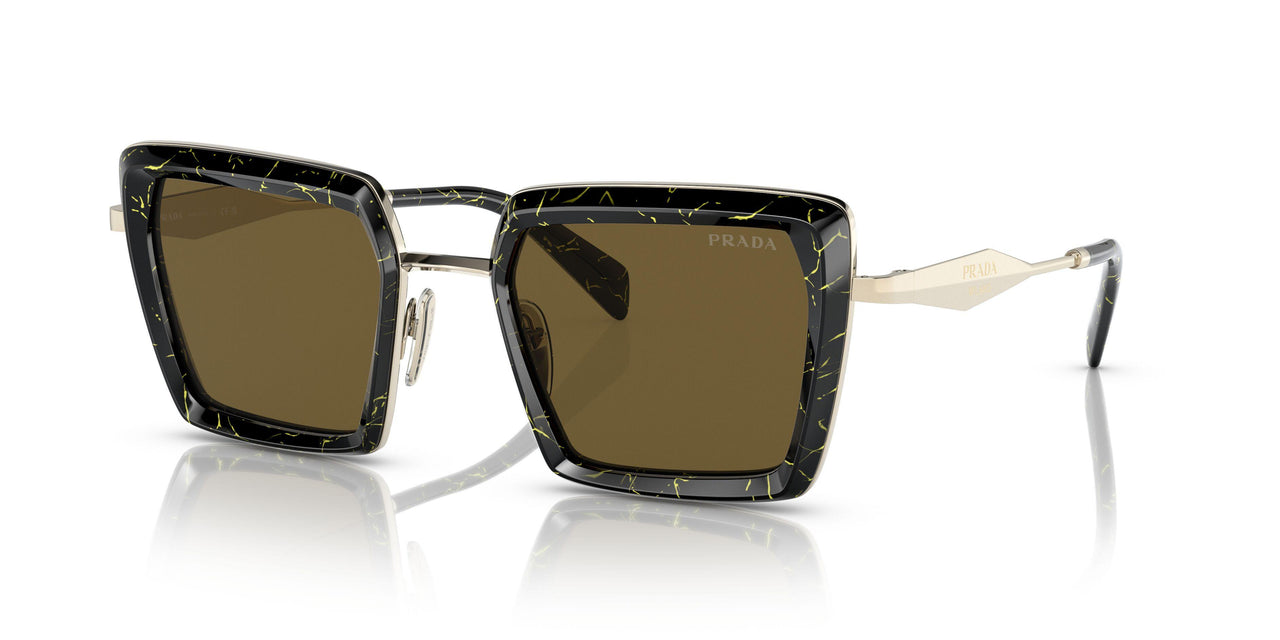19D01T - Black - Dark Brown