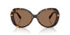 100273 - Tortoise - Dark Brown