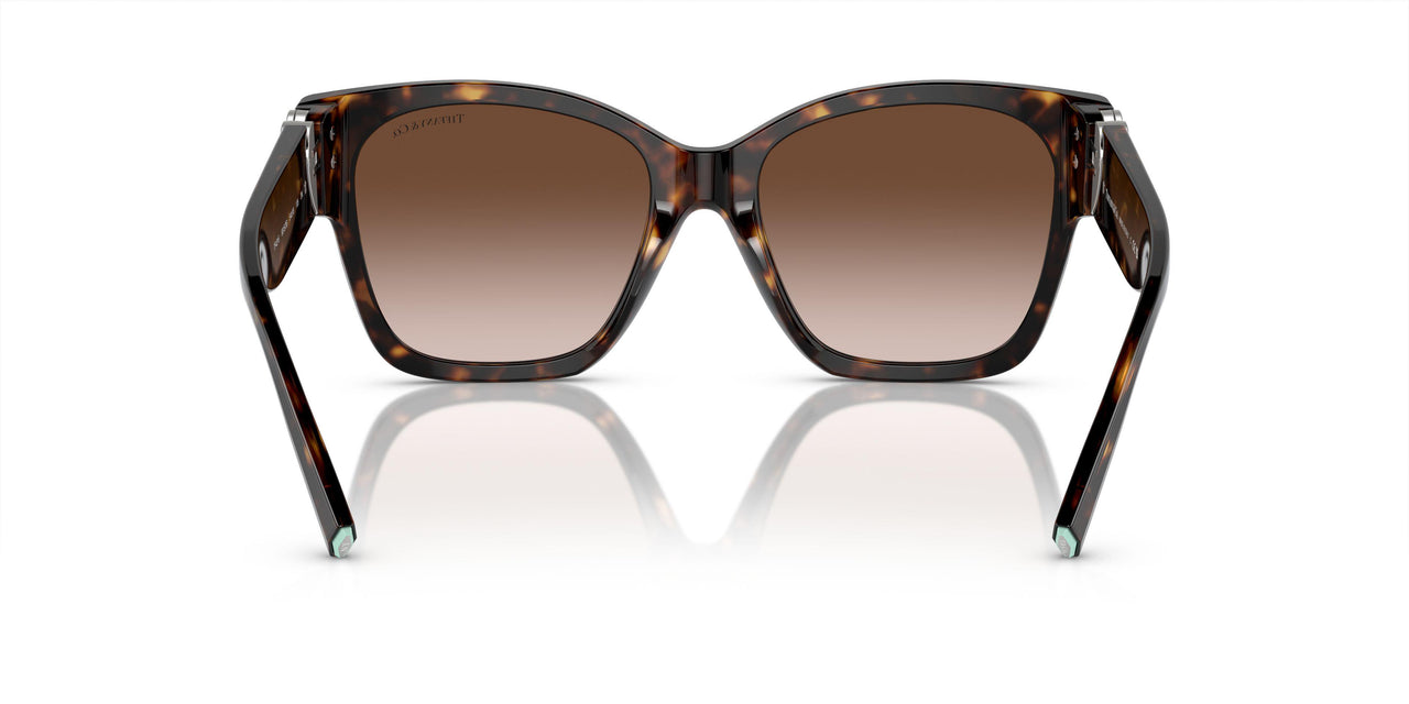 80153B - Tortoise - Brown Gradient