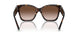 80153B - Tortoise - Brown Gradient