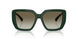42038E - Green - Green Gradient