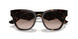 502/13 - Tortoise - Gradient Brown