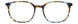 TBL - Tortoise/Blue