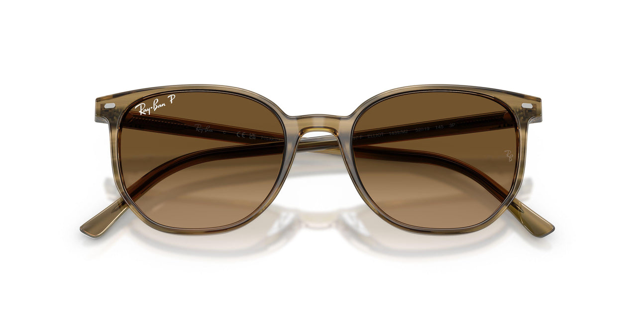 1439M2 - Green - Polarized Brown Gradient