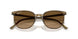 1439M2 - Green - Polarized Brown Gradient