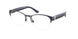 Polo 1238 Eyeglasses