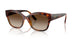 W65613 - Brown - Brown Gradient