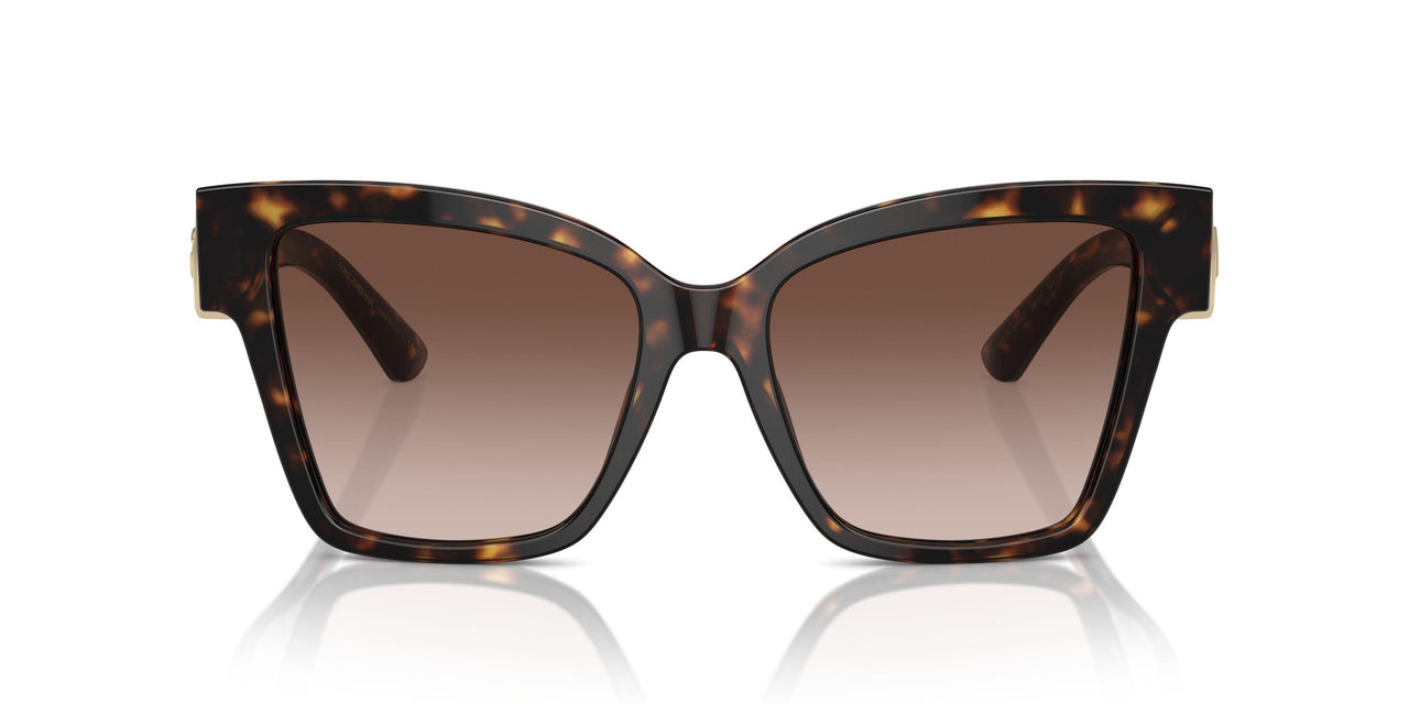 502/13 - Tortoise - Brown Gradient