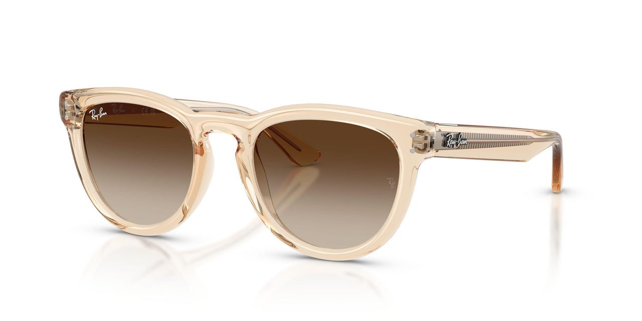 690213 - Pink - Light Brown Gradient Dark Brow