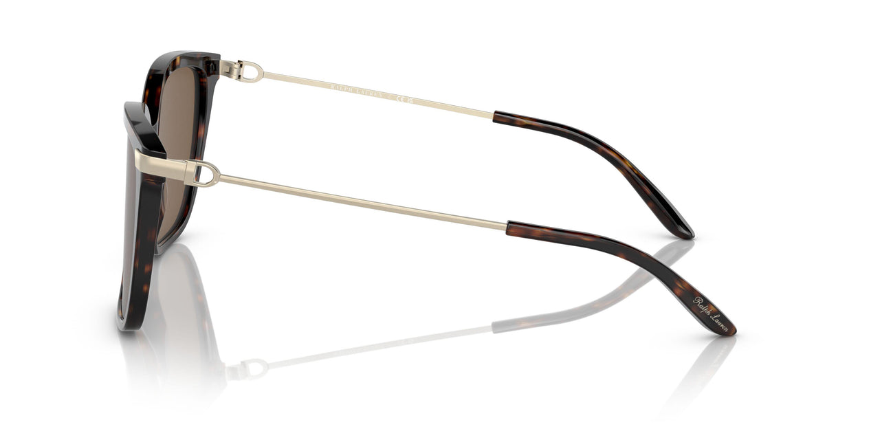 500373 - Havana - Dark Brown