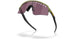946536 - Brown - Prizm Road Black