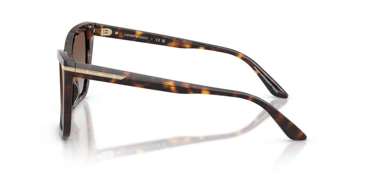 502689 - Tortoise - Grey Gradient Brown