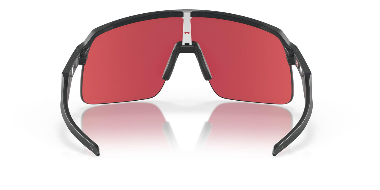 946317 - Black - Prizm Snow Sapphire