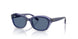 715980 - Brown - Dark Blue