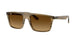 Ray-Ban 2222 Sunglasses